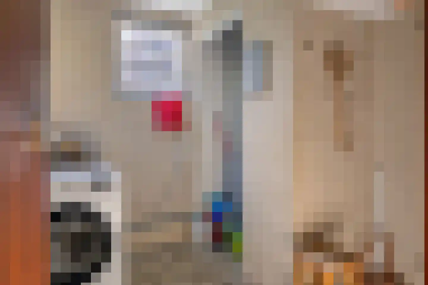 Laan van het Kwekebos 170 Emmen thumbnail 21