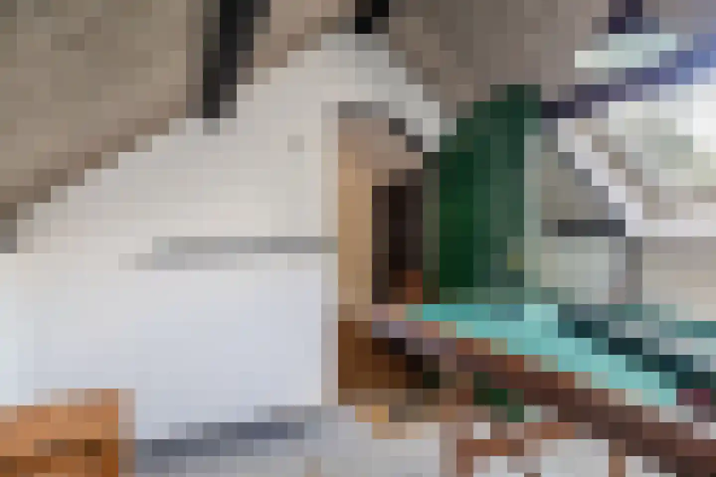 Laan van het Kwekebos 170 Emmen thumbnail 40