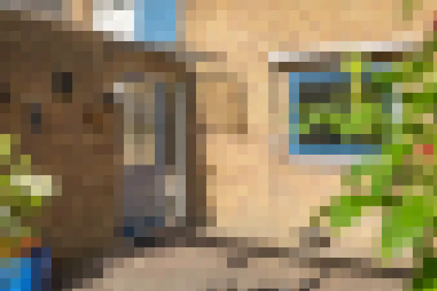 Laan van het Kwekebos 170 Emmen thumbnail 41