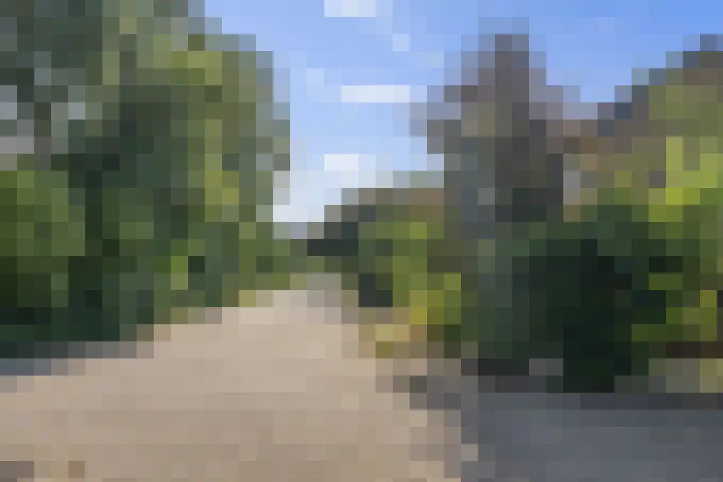 Laan van het Kwekebos 170 Emmen thumbnail 49