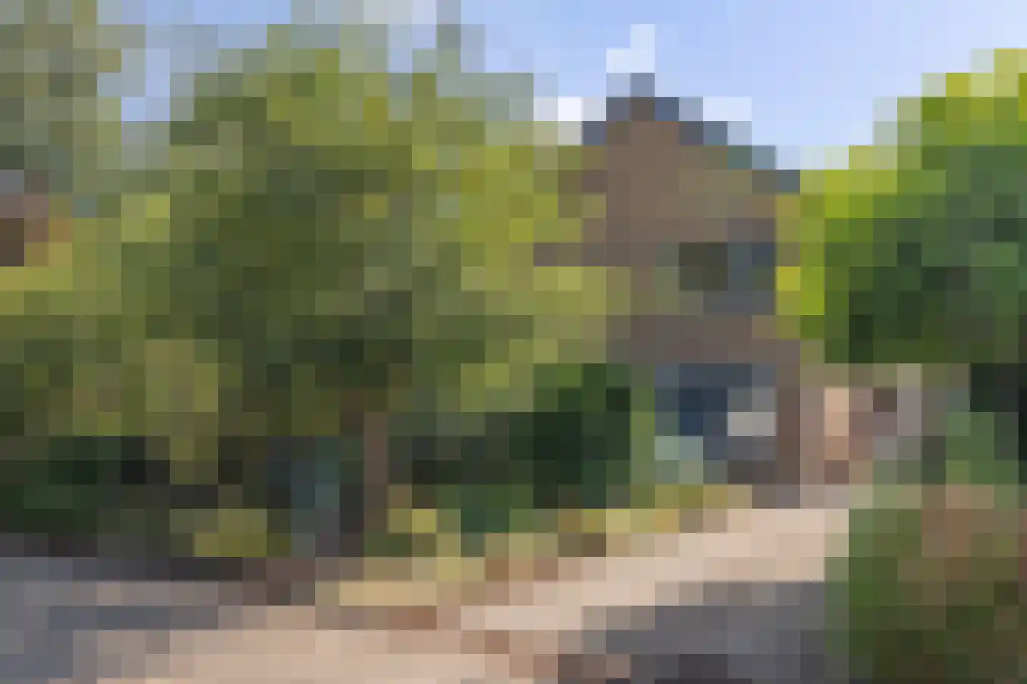 Laan van het Kwekebos 170 Emmen thumbnail 8