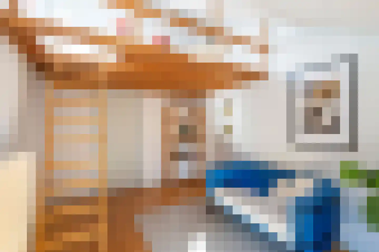Laan van het Kwekebos 181 Emmen thumbnail 20