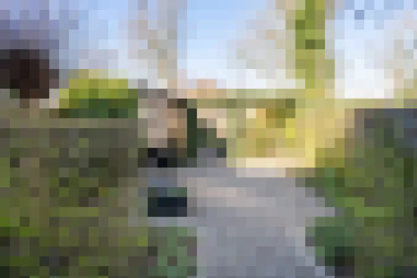 Laan van het Kwekebos 181 Emmen thumbnail 35