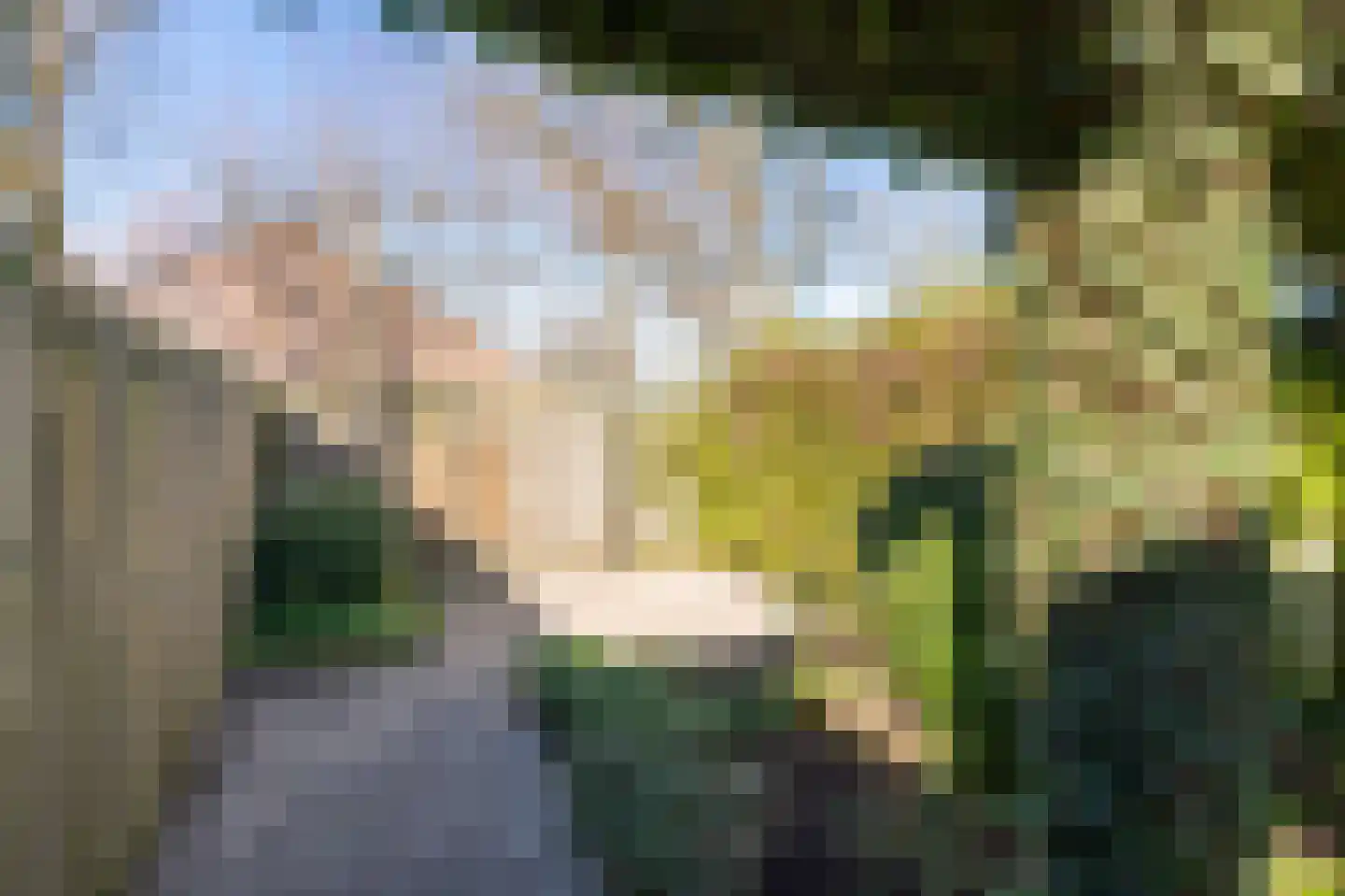 Laan van het Kwekebos 181 Emmen thumbnail 37