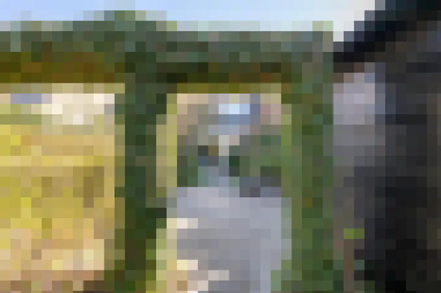 Laan van het Kwekebos 181 Emmen thumbnail 38