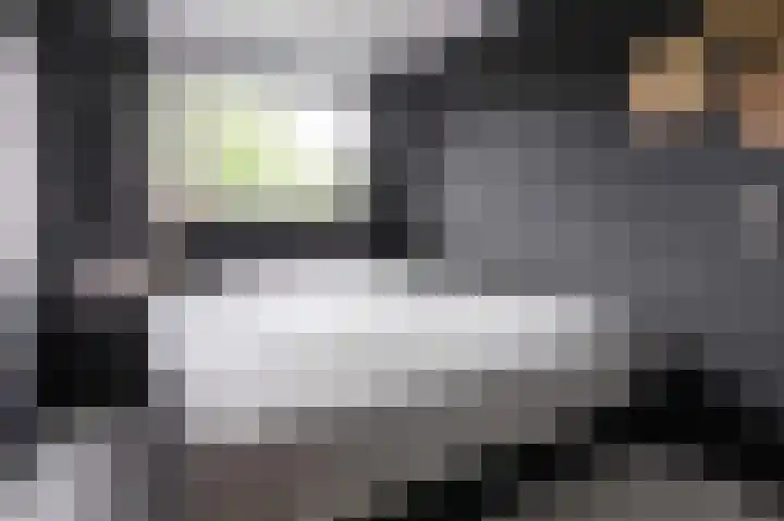 Laan van het Kwekebos 199 Emmen thumbnail 16