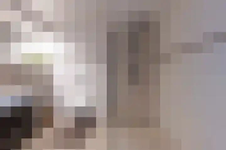 Laan van het Kwekebos 199 Emmen thumbnail 20