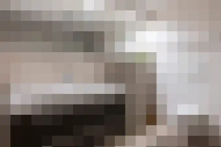 Laan van het Kwekebos 199 Emmen thumbnail 21