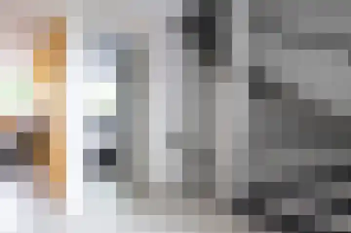 Laan van het Kwekebos 199 Emmen thumbnail 22