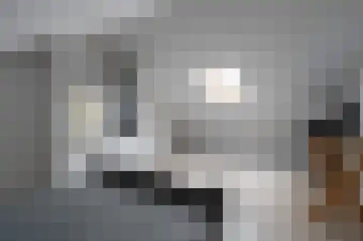 Laan van het Kwekebos 199 Emmen thumbnail 23
