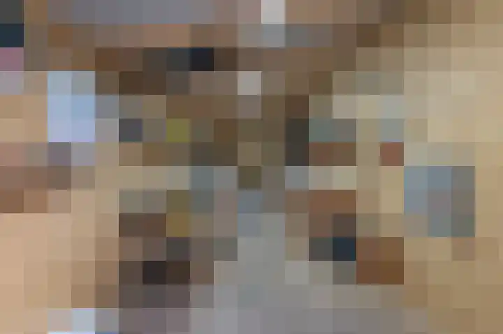 Laan van het Kwekebos 199 Emmen thumbnail 24