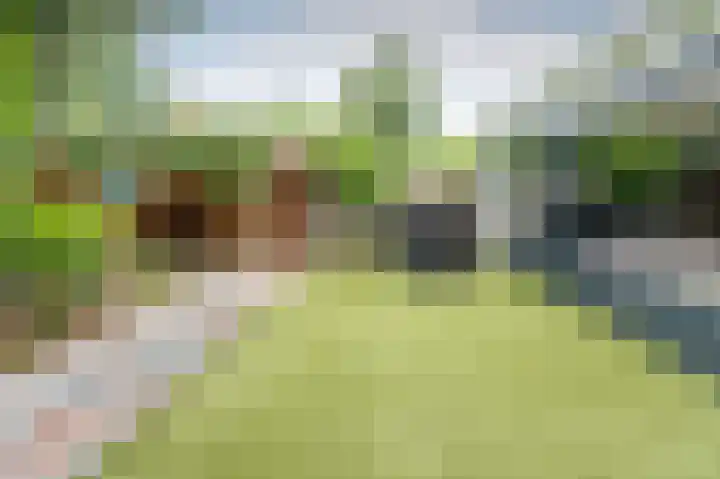 Laan van het Kwekebos 199 Emmen thumbnail 25