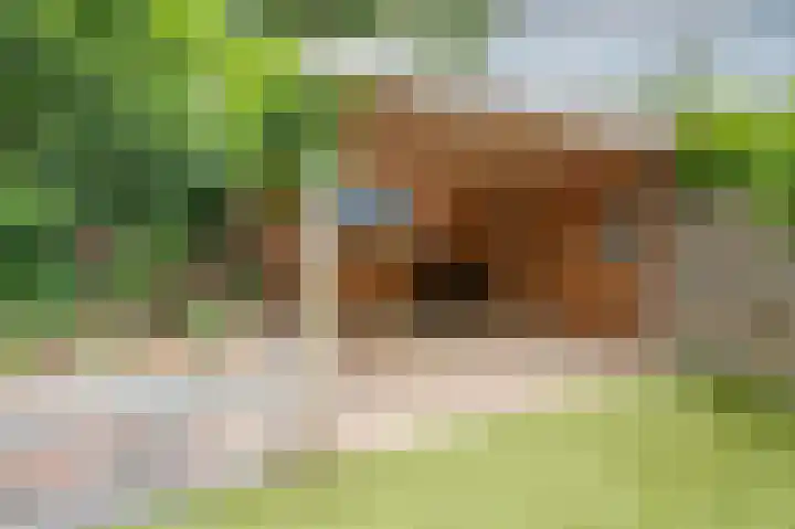 Laan van het Kwekebos 199 Emmen thumbnail 26