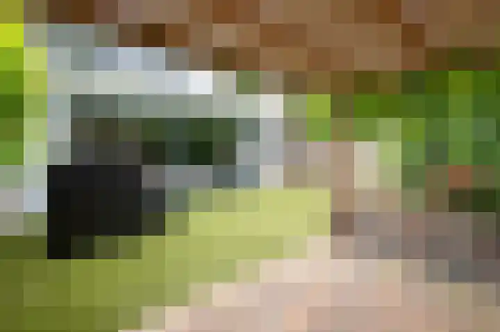 Laan van het Kwekebos 199 Emmen foto 3
