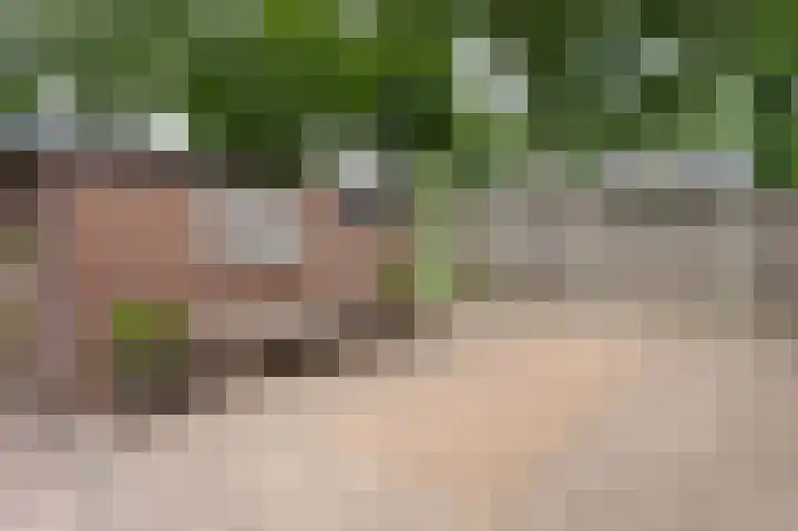 Laan van het Kwekebos 199 Emmen thumbnail 30