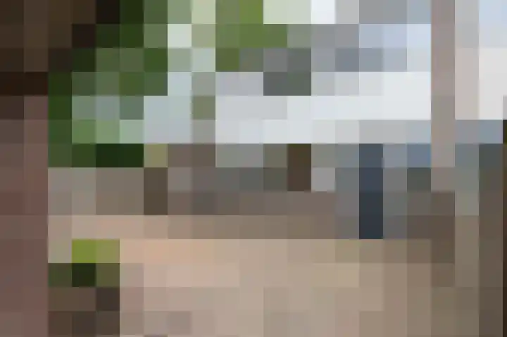 Laan van het Kwekebos 199 Emmen thumbnail 32