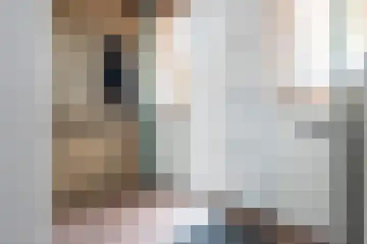 Laan van het Kwekebos 199 Emmen thumbnail 4