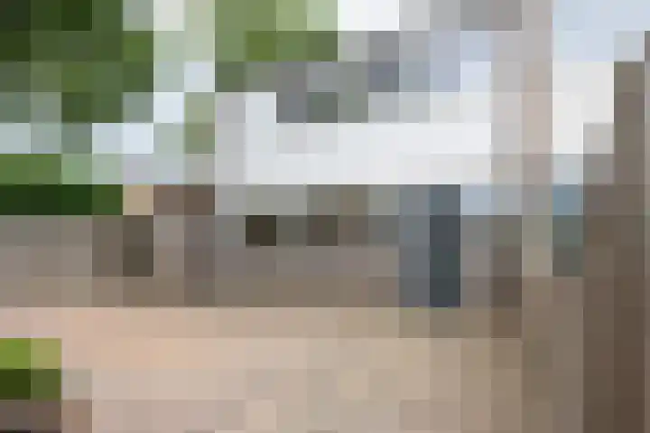 Laan van het Kwekebos 199 Emmen thumbnail 40