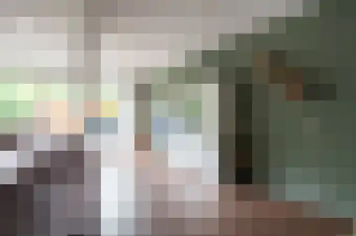 Laan van het Kwekebos 199 Emmen thumbnail 7