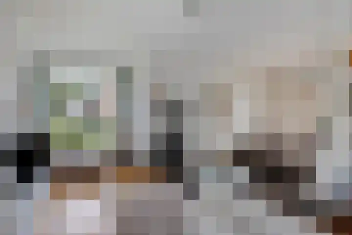 Laan van het Kwekebos 214 Emmen thumbnail 10
