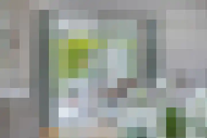 Laan van het Kwekebos 214 Emmen thumbnail 11