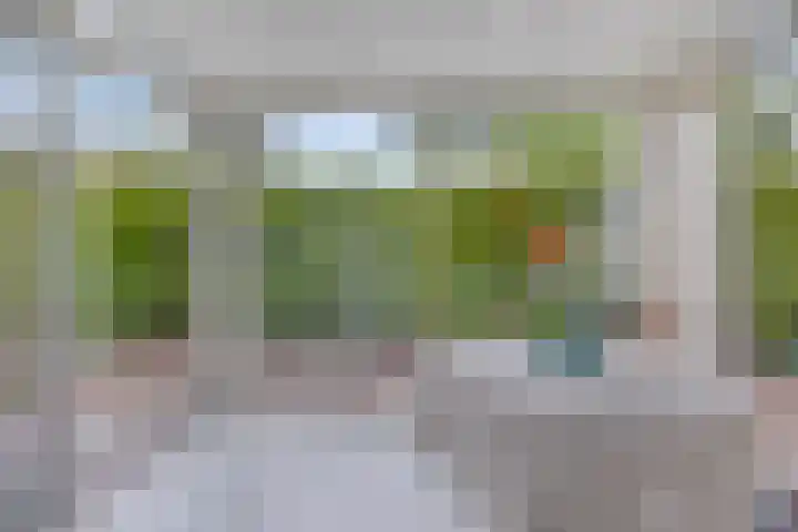 Laan van het Kwekebos 214 Emmen thumbnail 12