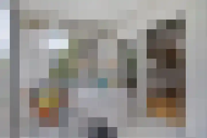 Laan van het Kwekebos 214 Emmen thumbnail 13