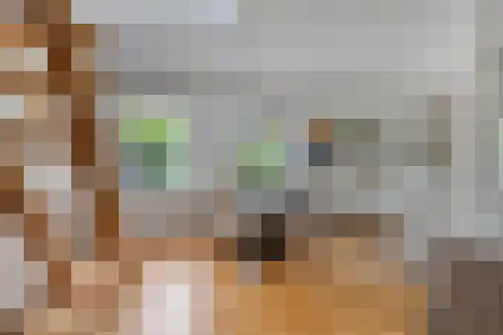 Laan van het Kwekebos 214 Emmen thumbnail 14