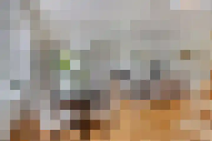 Laan van het Kwekebos 214 Emmen thumbnail 15