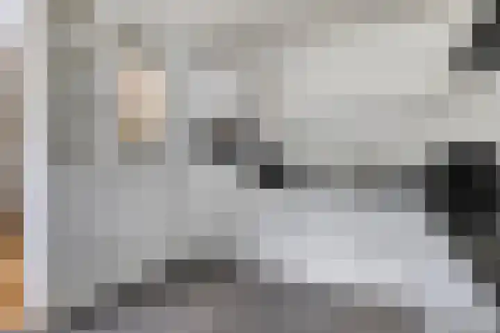 Laan van het Kwekebos 214 Emmen thumbnail 16