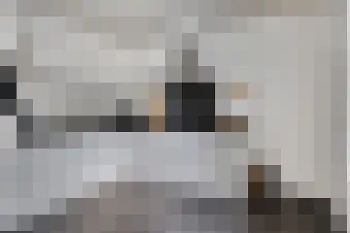 Laan van het Kwekebos 214 Emmen thumbnail 17