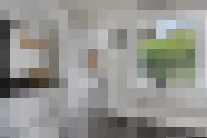 Laan van het Kwekebos 214 Emmen thumbnail 18