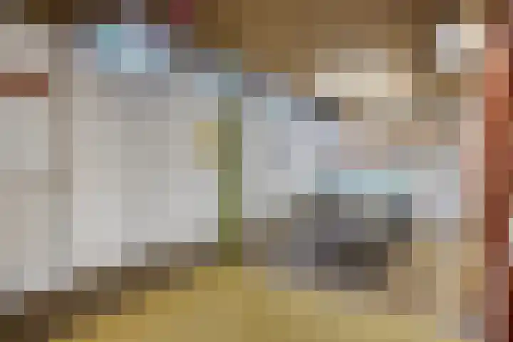 Laan van het Kwekebos 214 Emmen thumbnail 19