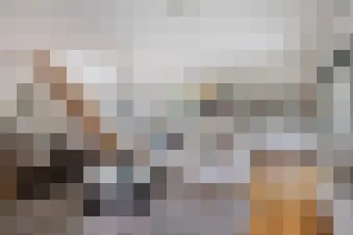 Laan van het Kwekebos 214 Emmen foto 2