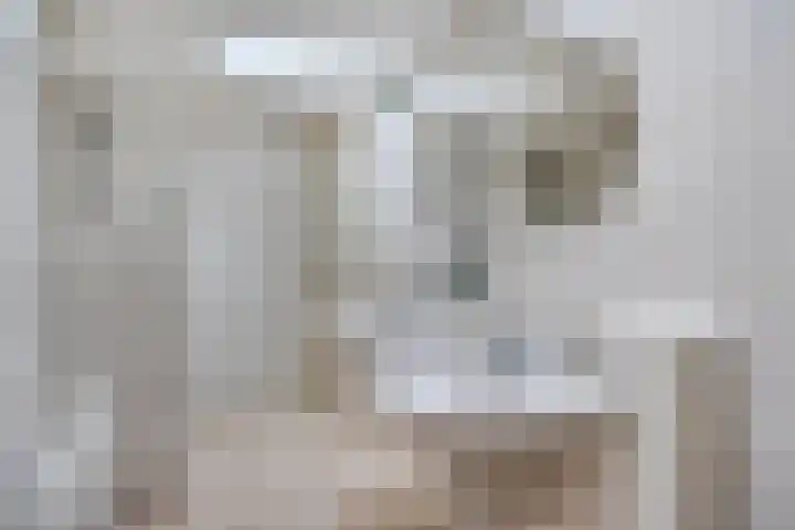 Laan van het Kwekebos 214 Emmen thumbnail 26