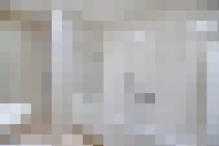 Laan van het Kwekebos 214 Emmen thumbnail 28