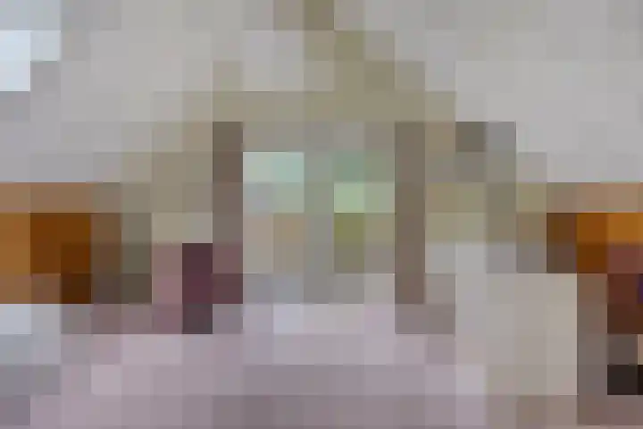 Laan van het Kwekebos 214 Emmen thumbnail 30
