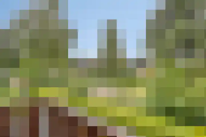 Laan van het Kwekebos 214 Emmen thumbnail 32