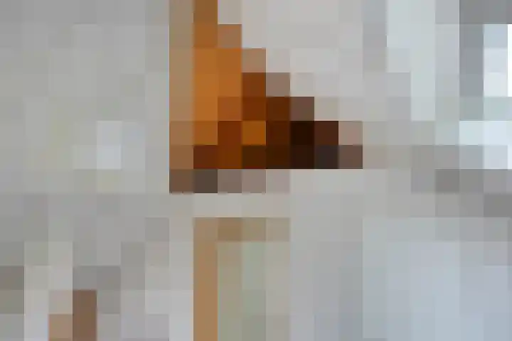 Laan van het Kwekebos 214 Emmen thumbnail 34
