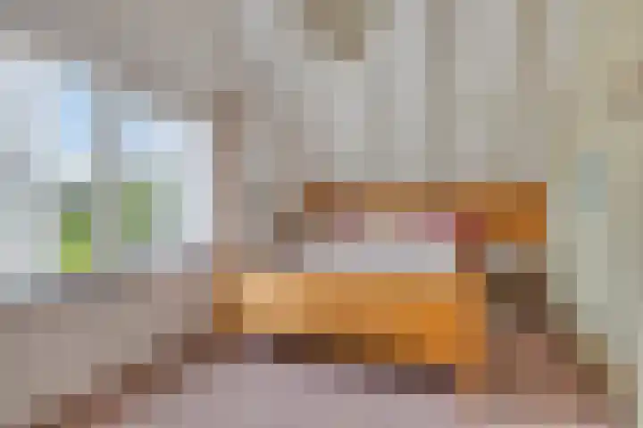 Laan van het Kwekebos 214 Emmen thumbnail 35