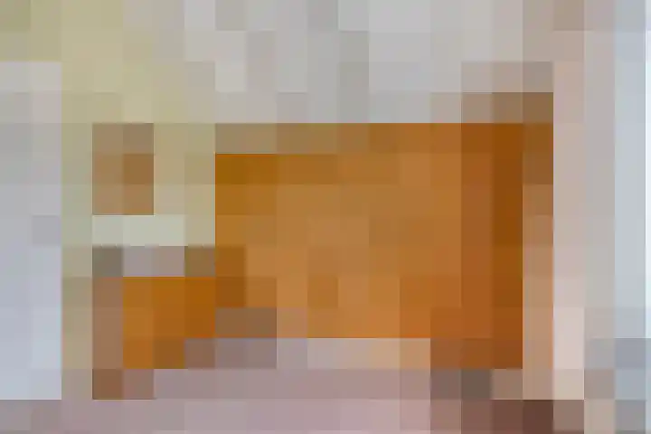 Laan van het Kwekebos 214 Emmen thumbnail 36