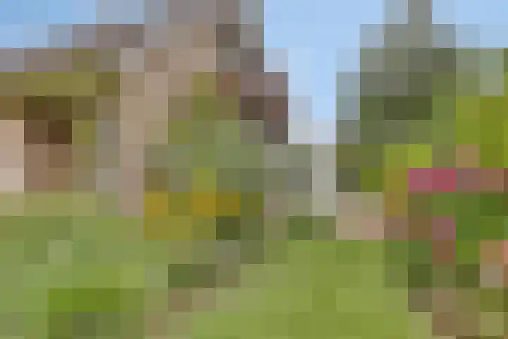 Laan van het Kwekebos 214 Emmen thumbnail 39