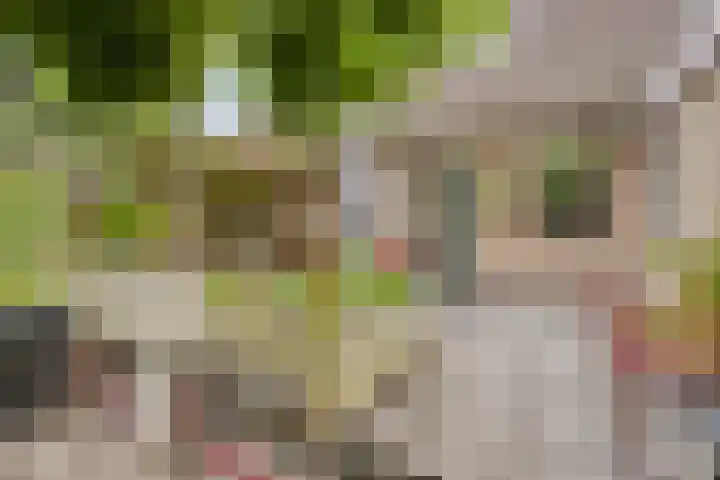 Laan van het Kwekebos 214 Emmen thumbnail 41
