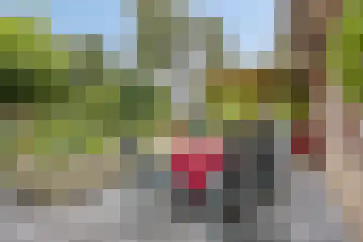 Laan van het Kwekebos 214 Emmen thumbnail 42