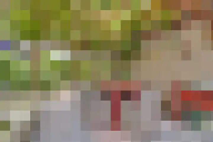Laan van het Kwekebos 214 Emmen thumbnail 43