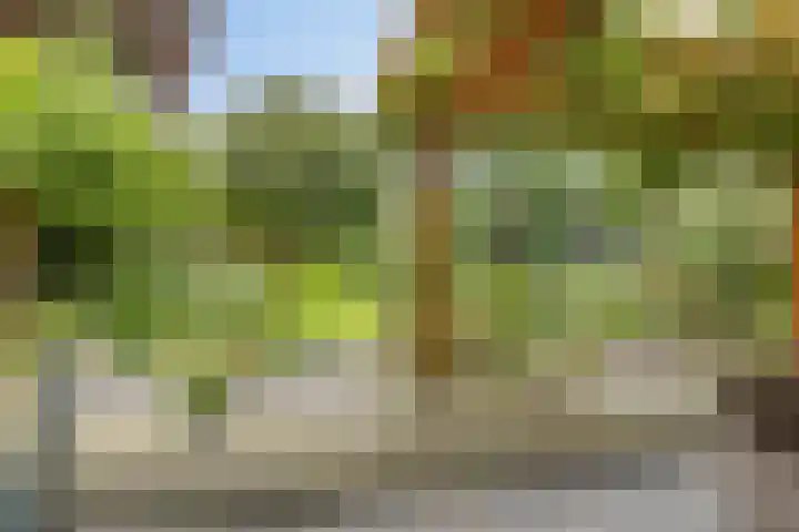 Laan van het Kwekebos 214 Emmen thumbnail 44