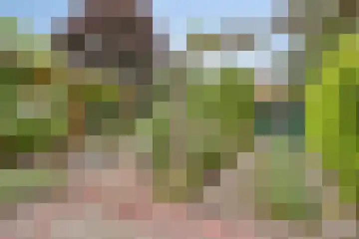 Laan van het Kwekebos 214 Emmen thumbnail 45