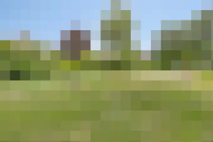 Laan van het Kwekebos 214 Emmen thumbnail 47