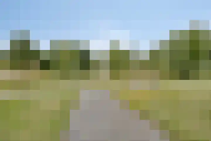 Laan van het Kwekebos 214 Emmen thumbnail 48