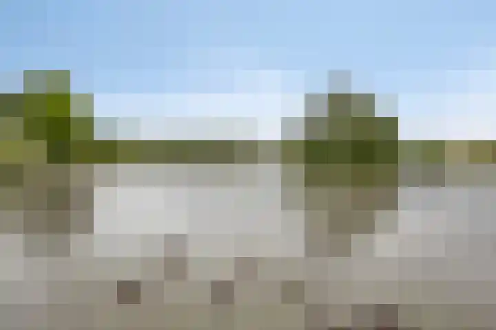 Laan van het Kwekebos 214 Emmen thumbnail 49
